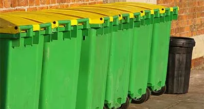 Liverpool's Green Bins