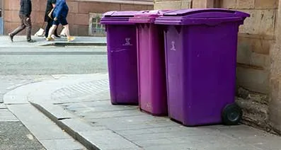 Liverpool's Purple Bins